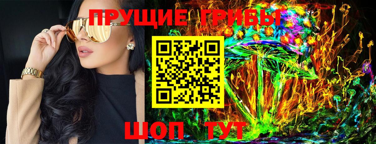 Галлюциногенные грибы Cubensis Курган