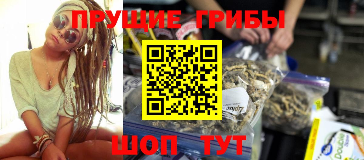 Псилоцибиновые грибы мицелий  Вход с VPN  Галлюциногенные грибы Cubensis  Курган 